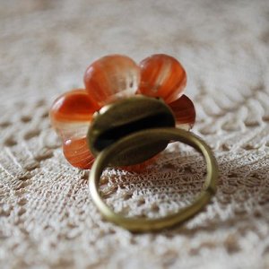 画像5: marron anneau